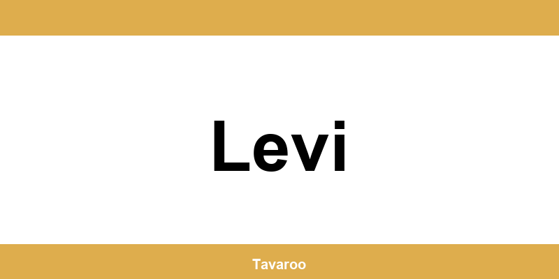 Posti toimipiste alueella Levi