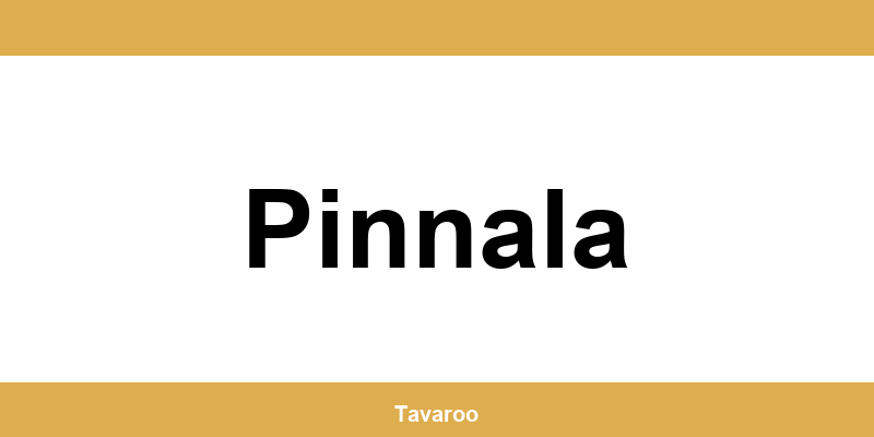 Posti toimipiste alueella Pinnala