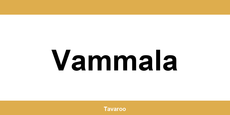 Posti toimipiste alueella Vammala